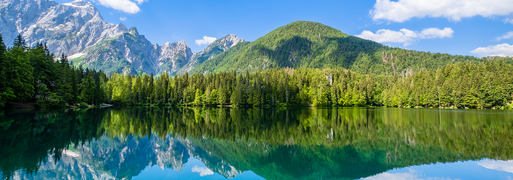 Photograph of lake with trees in the reflection